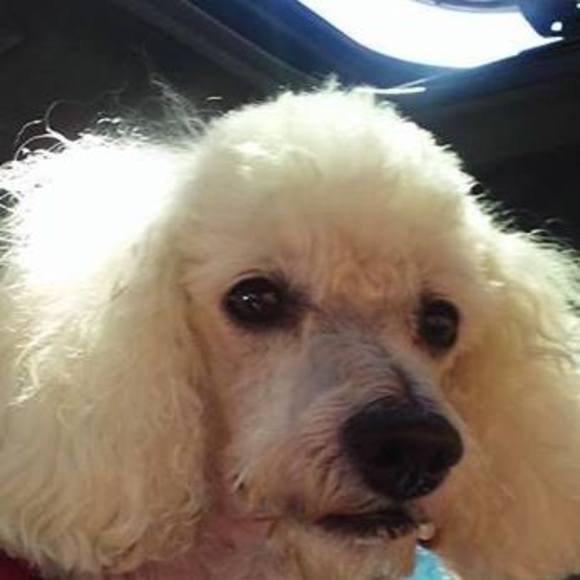 Meet your Posher, Stephen - Picture 1 of 1